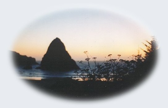 photograph of scenic wonders in oregon.