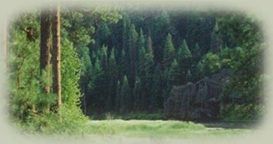 water cave on the river at the nature retreat.