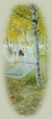 Relax at the Retreat