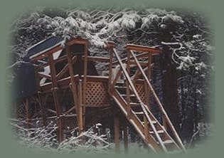 the elfin treehouse at the nature retreat in southern oregon near crater lake national park.