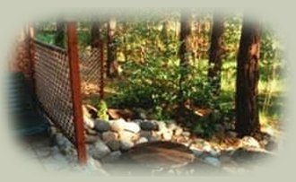 sauna in the forest.